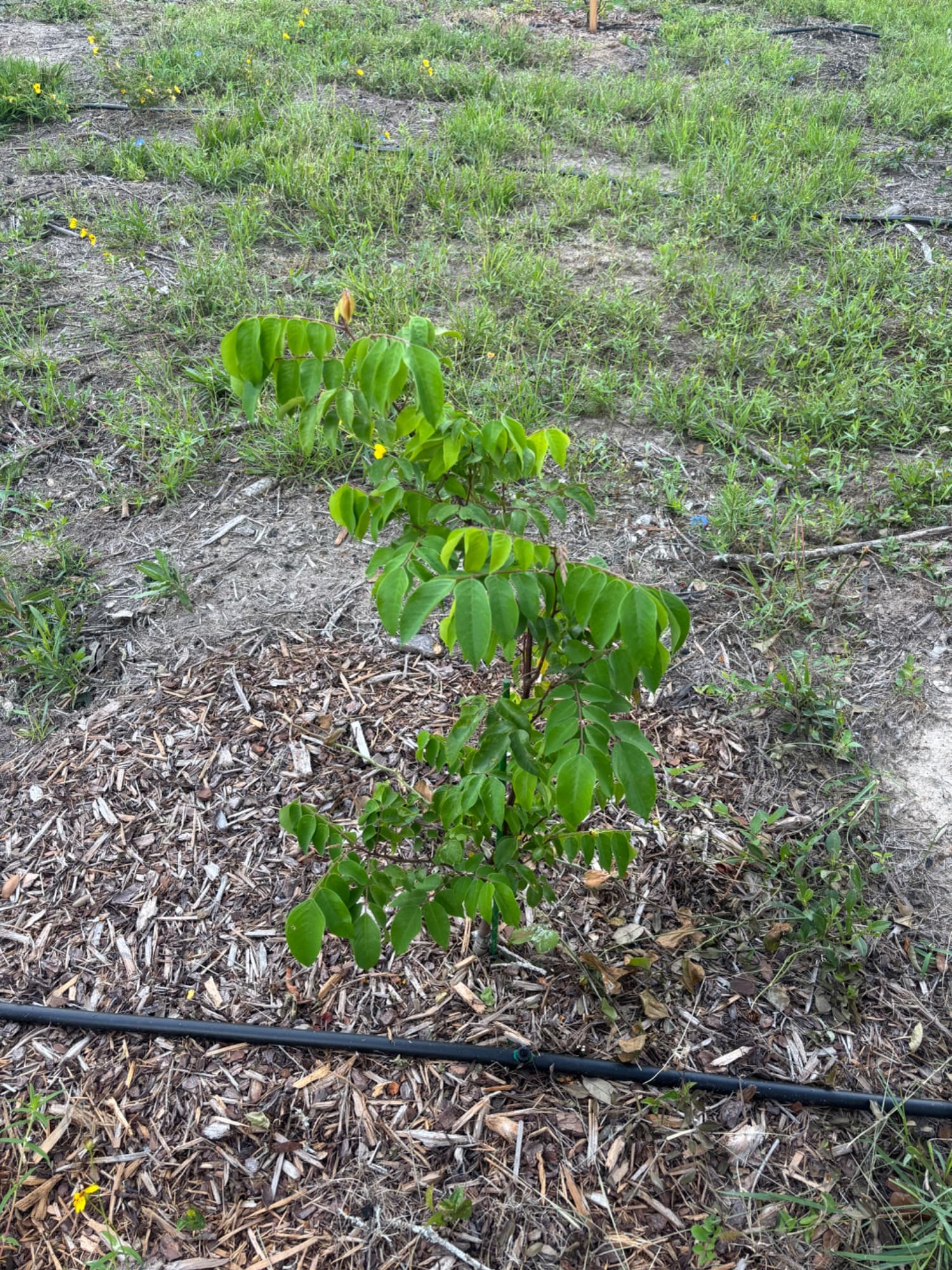 Post photo 1